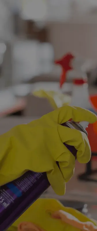 Cleaners Available in Brandon